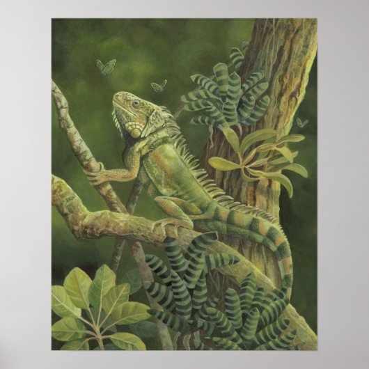 Iguana Poster (Voorkant)