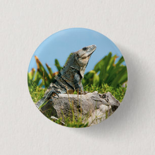 Iguana Ronde Button 3,2 Cm