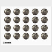 Iguana Ronde Sticker (Vel)