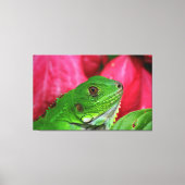 Iguana - roze en groen canvas afdruk (Voorkant)