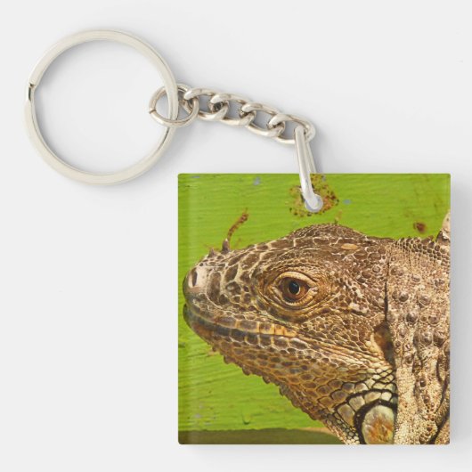 IGUANA SLEUTELHANGER (voorkant)