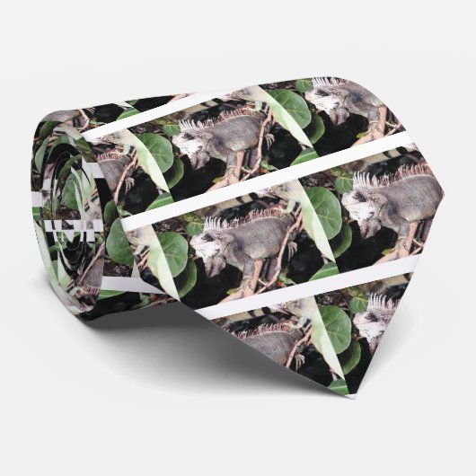 Iguana Stropdas (Opgerold)