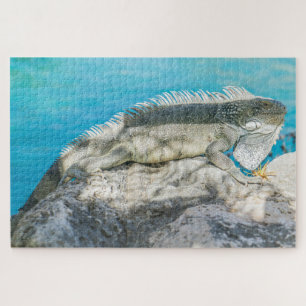 Iguana Sunbathing on Beach Rock Legpuzzel