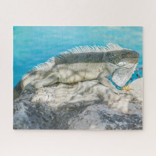 Iguana Sunbathing on Beach Rock Legpuzzel