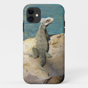 Iguana Tropical Wildlife Photography bij St. Thoma iPhone 11 Hoesje