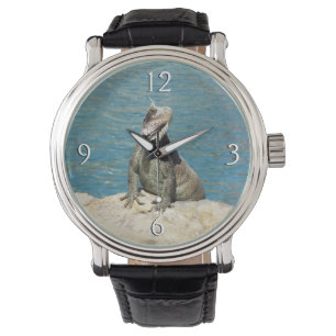 Iguana Tropical Wildlife Photography bij St. Thoma Horloge