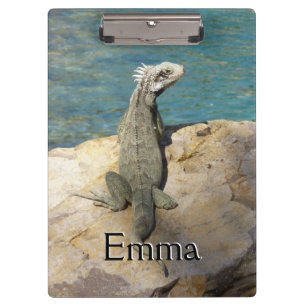 Iguana Tropical Wildlife Photography bij St. Thoma Klembord