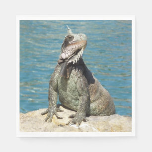 Iguana Tropical Wildlife Photography bij St. Thoma Servetten