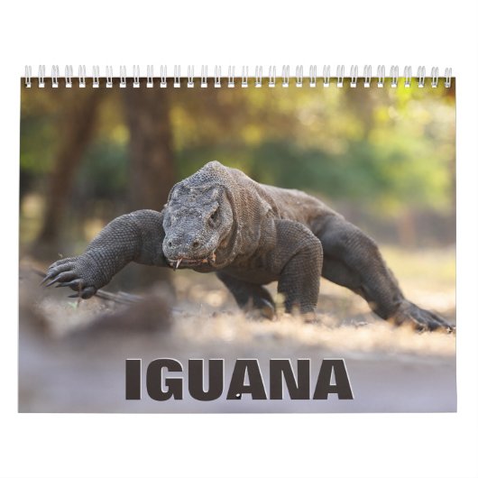 Iguana Wall Calendar Kalender (Hoes)