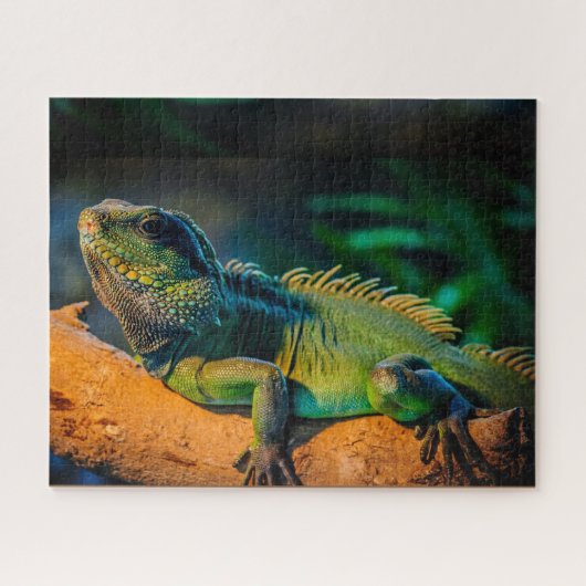 Iguana Wildlife Jigzaag Puzzle Legpuzzel (Horizontaal)