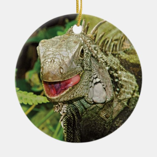 Iguanas hangende cadeauversieringen keramisch ornament (Voorkant)