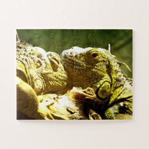 Iguanas Legpuzzel