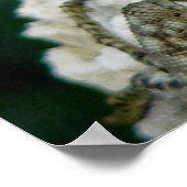 iguanas poster (Hoek)