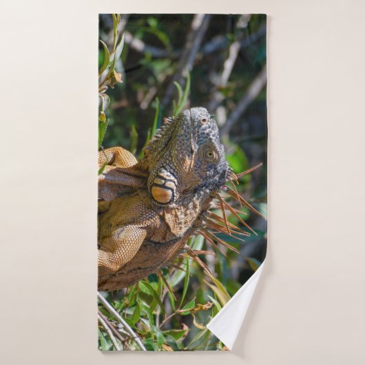 Iguane orange, photographie de Belize (Serviette de bain)