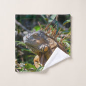 Iguane orange, photographie de Belize (Gant de toilette)
