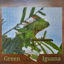 Iguane vert dans un palmier Photographie Puzzle