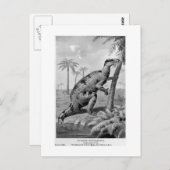 Iguanodon bernissartensis art briefkaart (Voorkant / Achterkant)