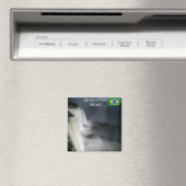 Iguazu Falls Cataratas de Iguazu Magnet (In Situ (Lave-vaisselle))