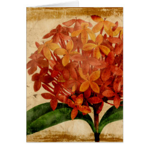 III floral vibrant