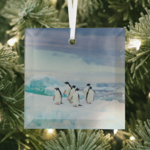 IJs en sneeuw   Adelie Penguins Antarctica Glas Ornament