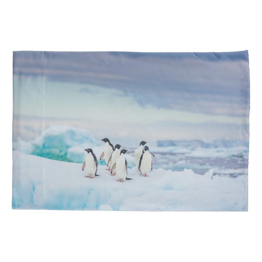 IJs en sneeuw | Adelie Penguins Antarctica Kussensloop (Achterkant)