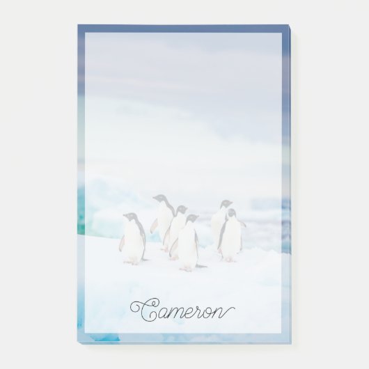 IJs en sneeuw | Adelie Penguins Antarctica Post-it® Notes (Voorkant)