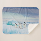 IJs en sneeuw | Adelie Penguins Antarctica Sherpa Deken (Voorkant (horizontaal))