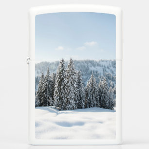 IJs en sneeuw   Allgäu Bavaria Duitsland