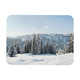 IJs en sneeuw Allgäu Bavaria Duitsland Magneet