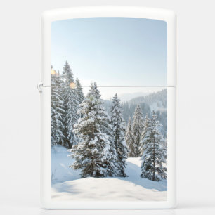 IJs en sneeuw Allgäu Bavaria Zuid-Duitsland