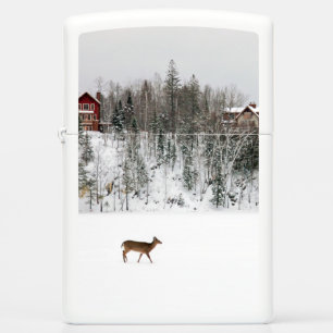 IJs en sneeuw Deer in Snow Quebec, Canada