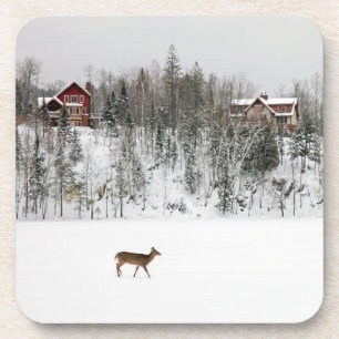 IJs en sneeuw Deer in Snow Quebec, Canada Bier Onderzetter