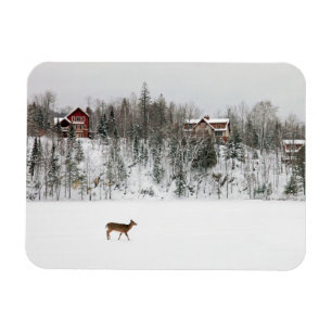 IJs en sneeuw Deer in Snow Quebec, Canada Magneet