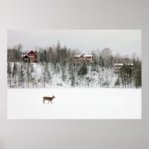 IJs en sneeuw Deer in Snow Quebec, Canada Poster