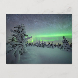 IJs en sneeuw   Nationaal park Pallas-Yllastunturi Briefkaart