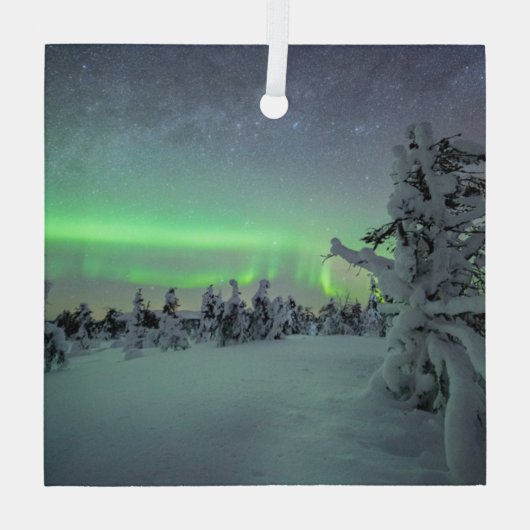 IJs en sneeuw | Nationaal park Pallas-Yllastunturi Glas Ornament (Achterkant)