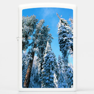 IJs en sneeuw   Nationaal park Sequoia, Californië