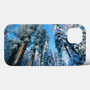 IJs en sneeuw   Nationaal park Sequoia, Californië iPhone 13 Hoesje