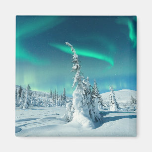 IJs en sneeuw Noordelijke lichten, Lapland, Finl Magneet