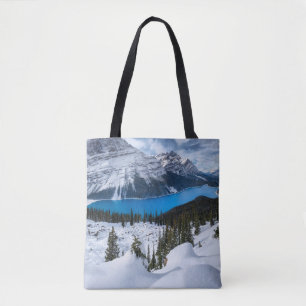 IJs en sneeuw Peyto Lake, Canadees Rockies Draagtas