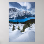 IJs en sneeuw | Peyto Lake, Canadees Rockies Poster (Voorkant)