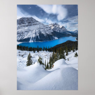 IJs en sneeuw   Peyto Lake, Canadees Rockies Poster