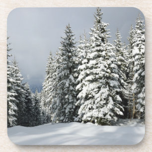 IJs en sneeuw Pine Woodland, Oostenrijk Bier Onderzetter