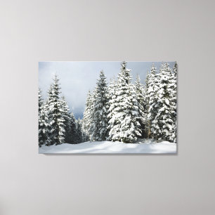 IJs en sneeuw Pine Woodland, Oostenrijk Canvas Afdruk