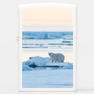 IJs en sneeuw   Polar Beer Iceberg Noorwegen