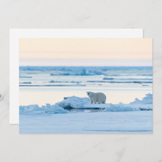 IJs en sneeuw | Polar Beer Iceberg Noorwegen Bedankkaart (Voorkant / Achterkant)