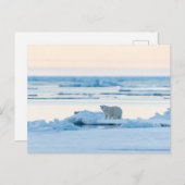 IJs en sneeuw | Polar Beer Iceberg Noorwegen Briefkaart (Voorkant / Achterkant)