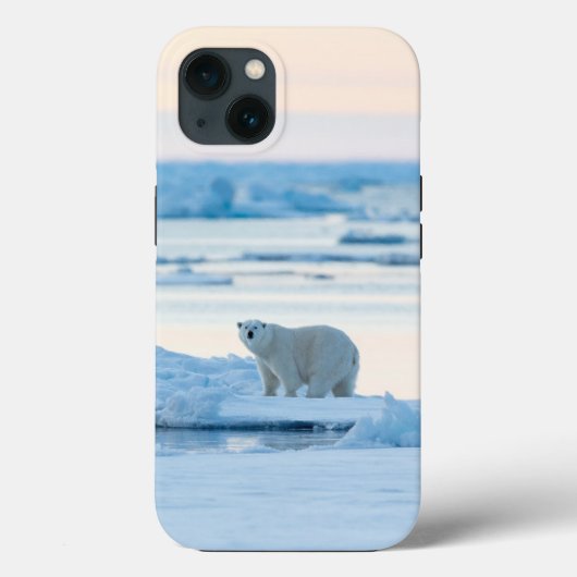 IJs en sneeuw | Polar Beer Iceberg Noorwegen Case-Mate iPhone Case (Achterkant)