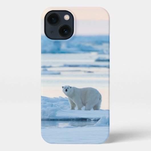IJs en sneeuw | Polar Beer Iceberg Noorwegen iPhone Hoesje (Achterkant)