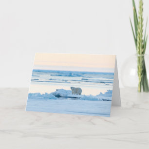 IJs en sneeuw   Polar Beer Iceberg Noorwegen Kaart